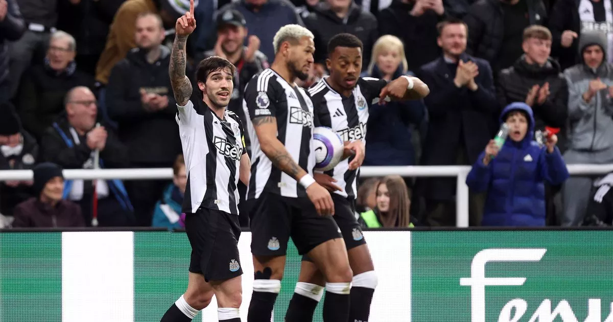 Newcastle 2-1 Brentford highlights and reaction as Tonali scores bizarre winner