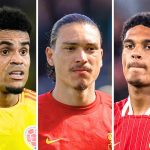 Nunez transfer fee set with Saudi contact made