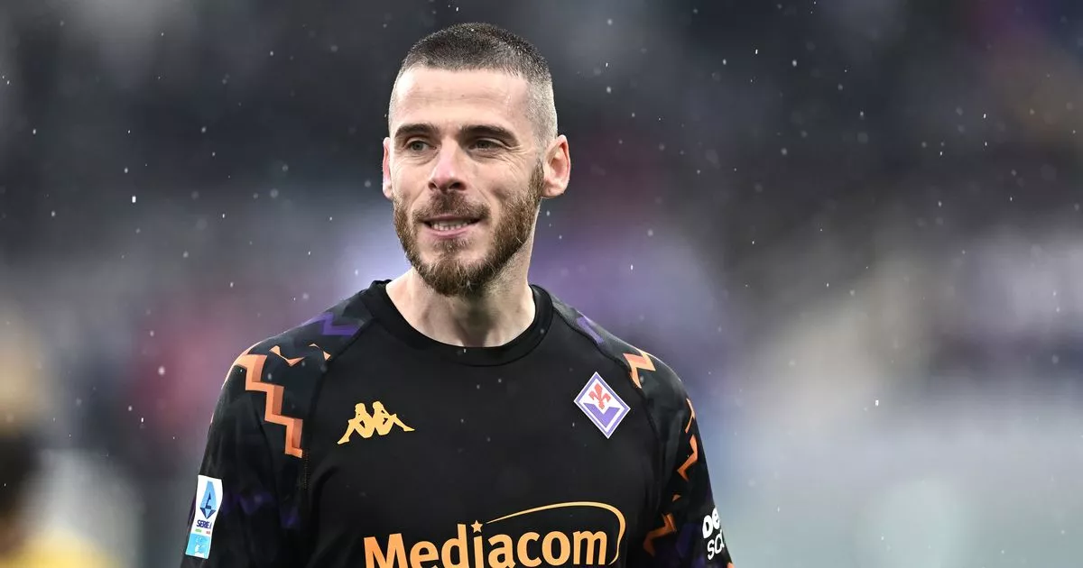 David de Gea lays down challenge to Man Utd transfer target – ‘It isn’t enough’